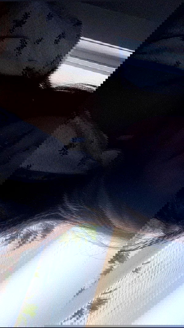 rose_xanne rose_xanne archive image