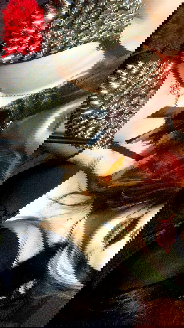 rose_xanne rose_xanne archive image