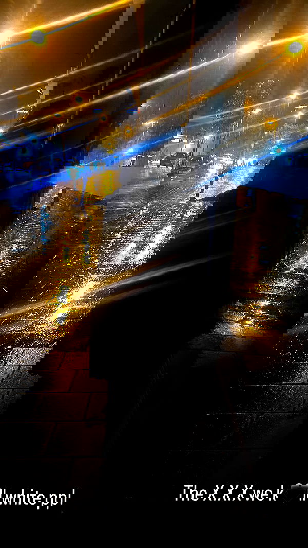 rose_xanne rose_xanne archive image