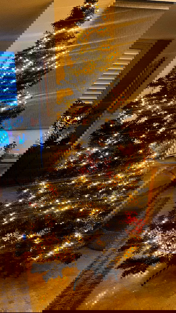 rose_xanne rose_xanne archive image