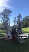 rozhinsafffar Altpins Profile Picture