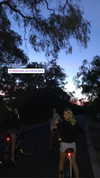 rozhinsafffar Altpins Profile Picture