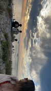 rozhinsafffar Altpins Profile Picture
