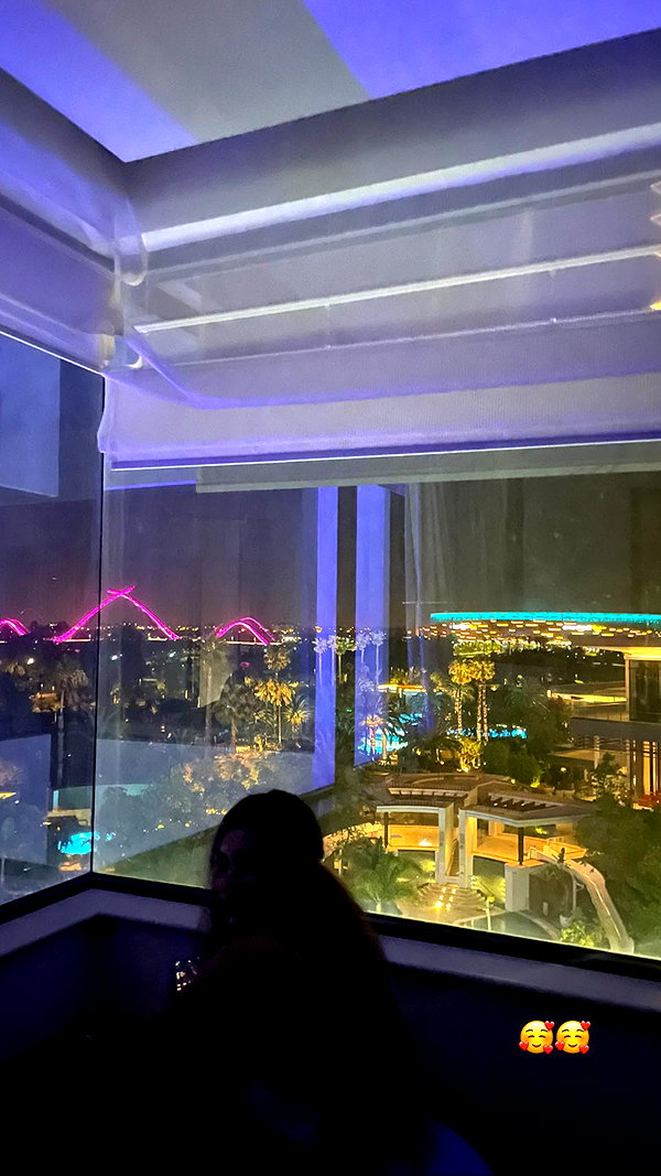 rozhinsafffar instagram image archive image