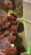 rozhinsafffar Altpins Profile Picture