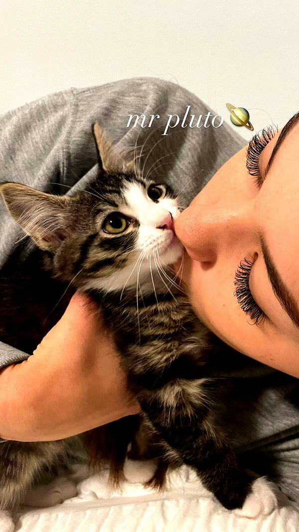 rozhinsafffar instagram image archive image
