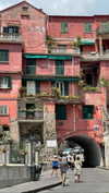 rozhinsafffar Altpins Profile Picture