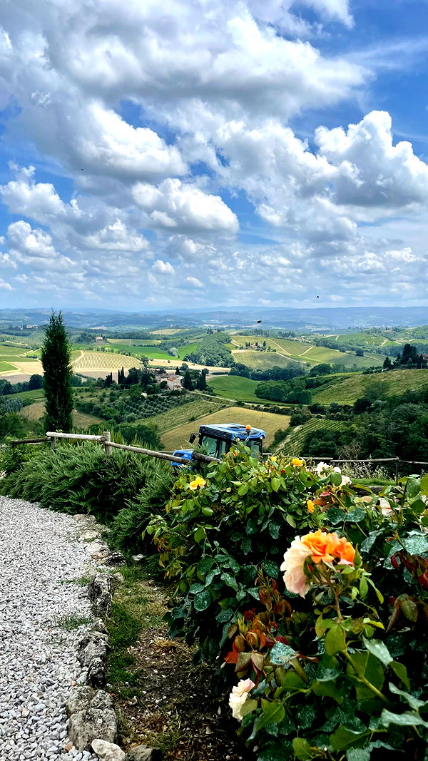 rozhinsafffar instagram image archive image
