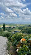 rozhinsafffar Altpins Profile Picture