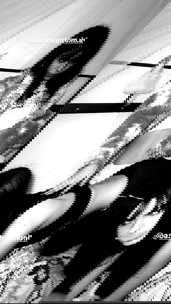 rr0mii rr0mii archive image