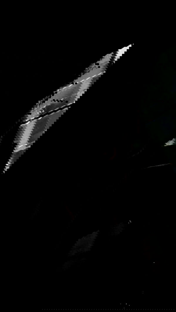 rr0mii rr0mii archive image