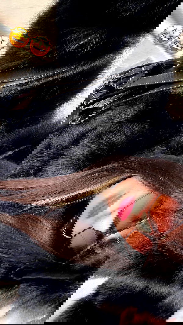 rr0mii rr0mii archive image