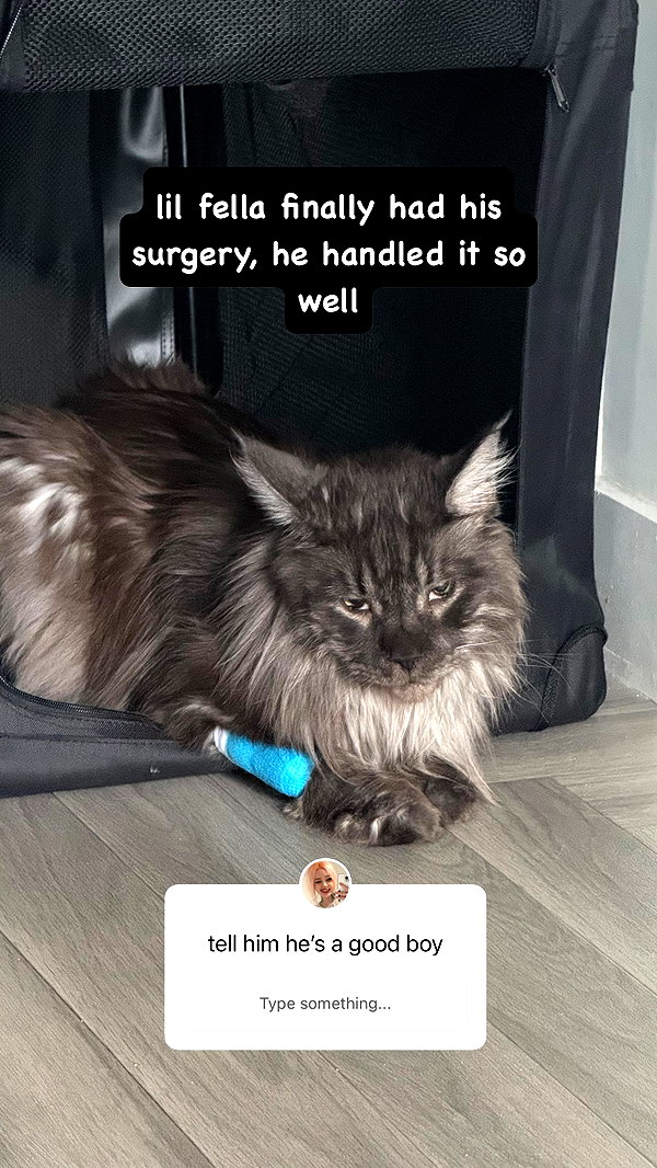 runabyt3 instagram image archive image