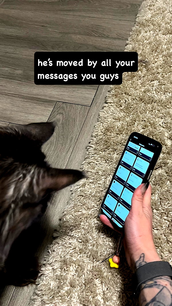 runabyt3 instagram image archive image