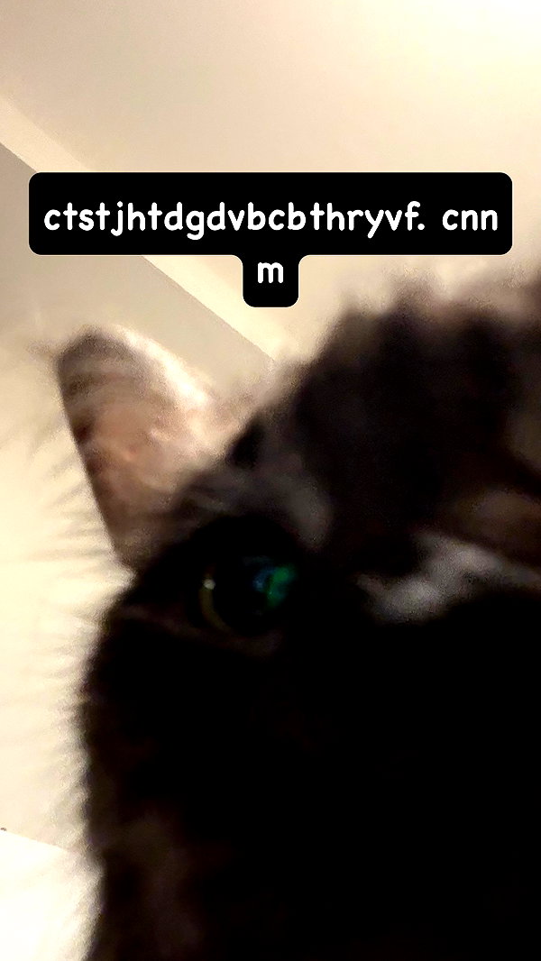 runabyt3 instagram image archive image