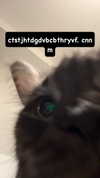 runabyt3 Altpins Profile Picture