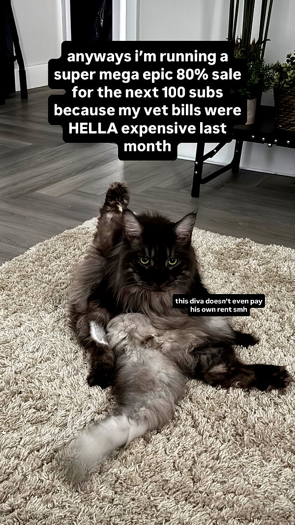 runabyt3 instagram image archive image
