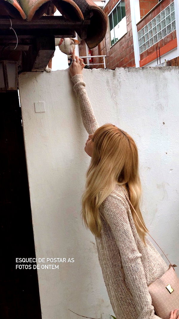 s0rabunny instagram image archive image
