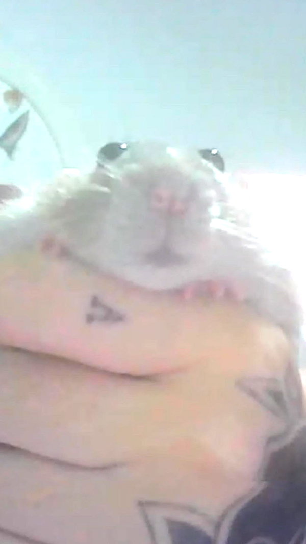 s0rabunny instagram image archive image