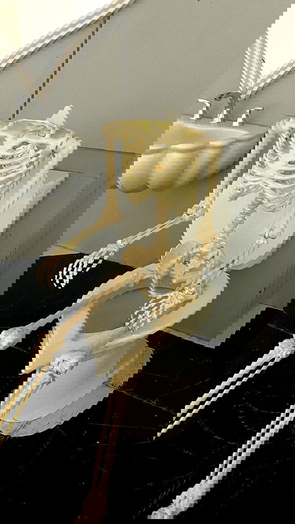 sabrinacarpenter sabrinacarpenter archive image