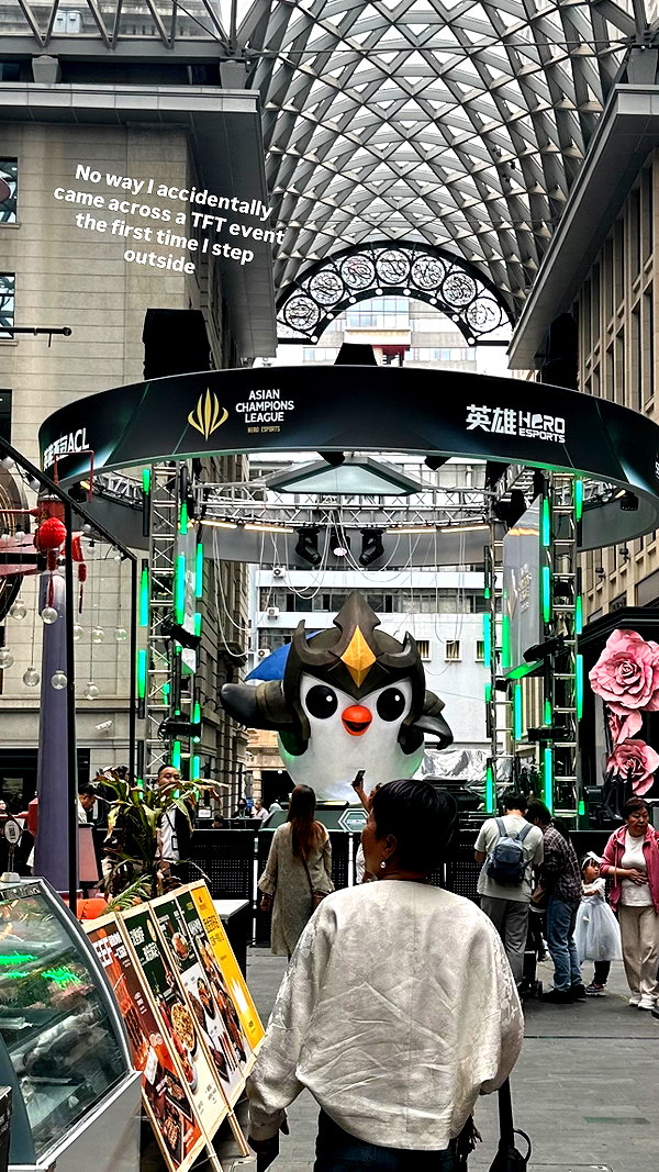 saekkico instagram image archive image