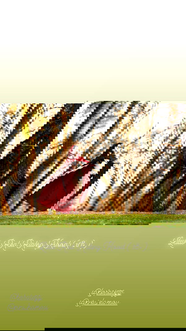 sagi.photo sagi.photo archive image