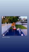 sam.circs Altpins Profile Picture