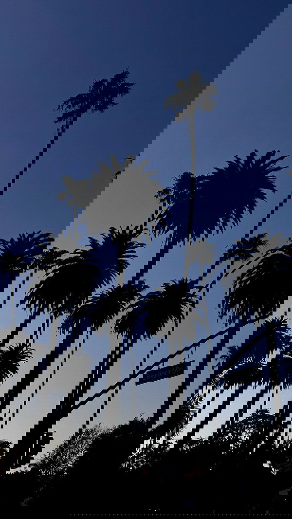 samantra_official image ~ Altpins