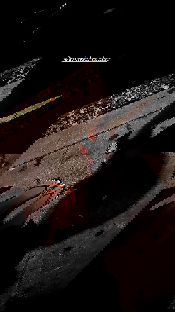 samantra_official image ~ Altpins