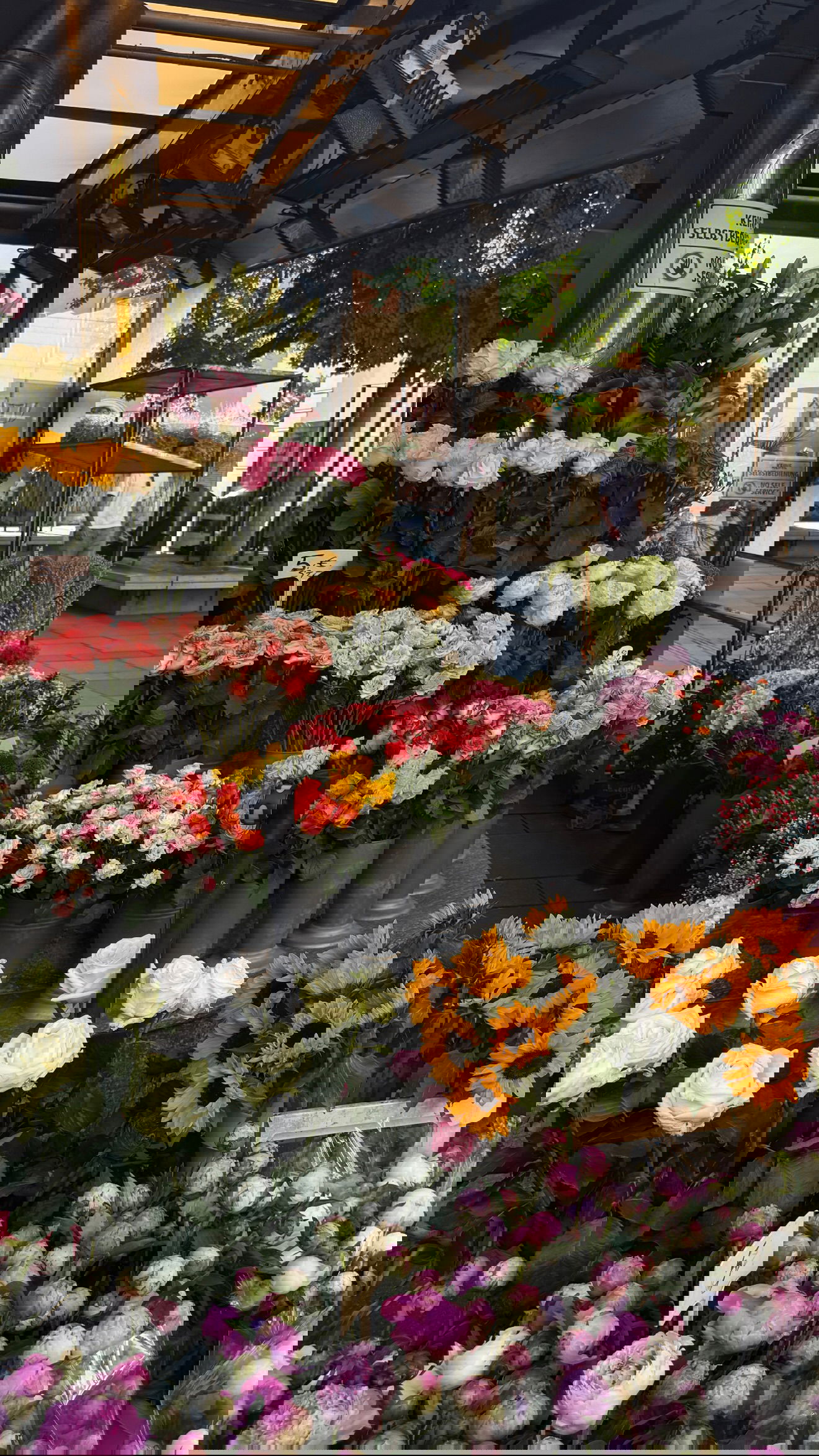 samantra_official instagram image archive image