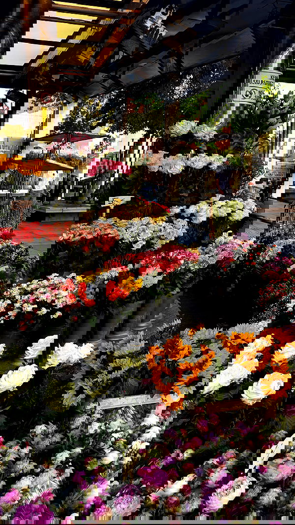 samantra_official image ~ Altpins