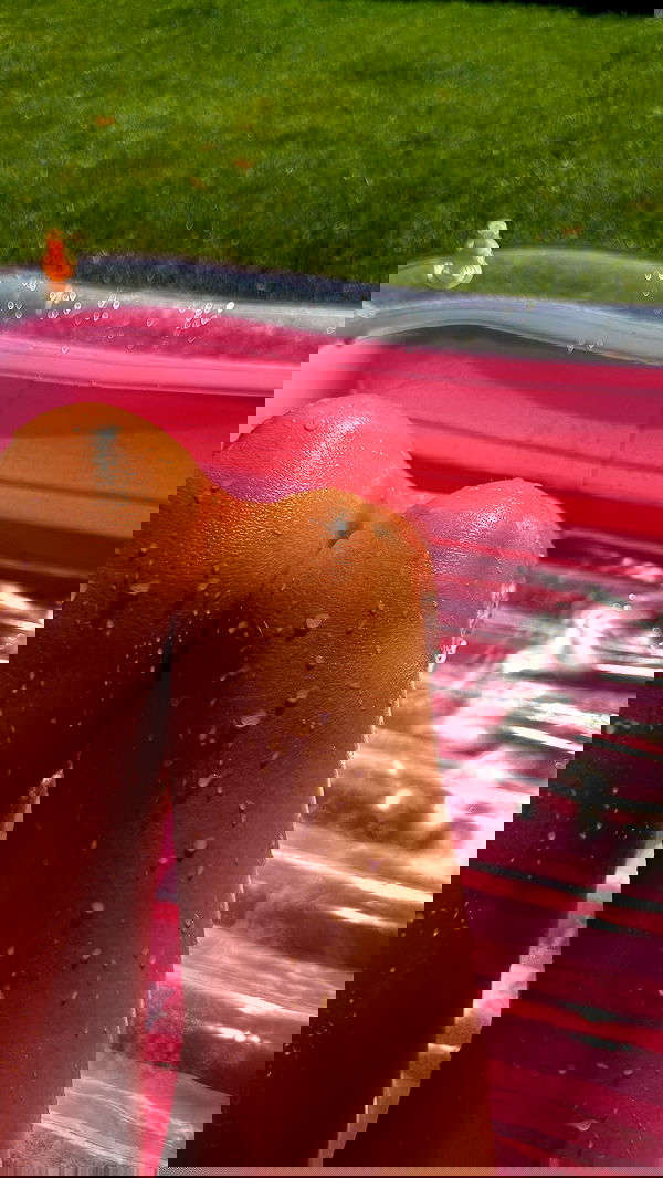 samantra_official image ~ Altpins