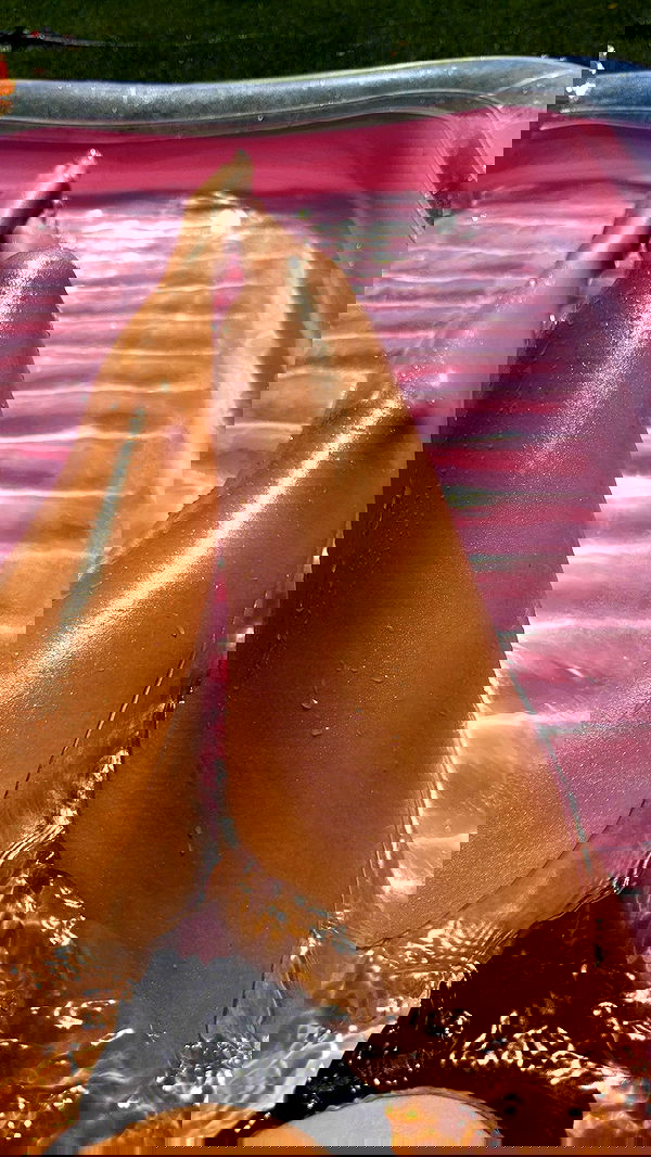 samantra_official image ~ Altpins