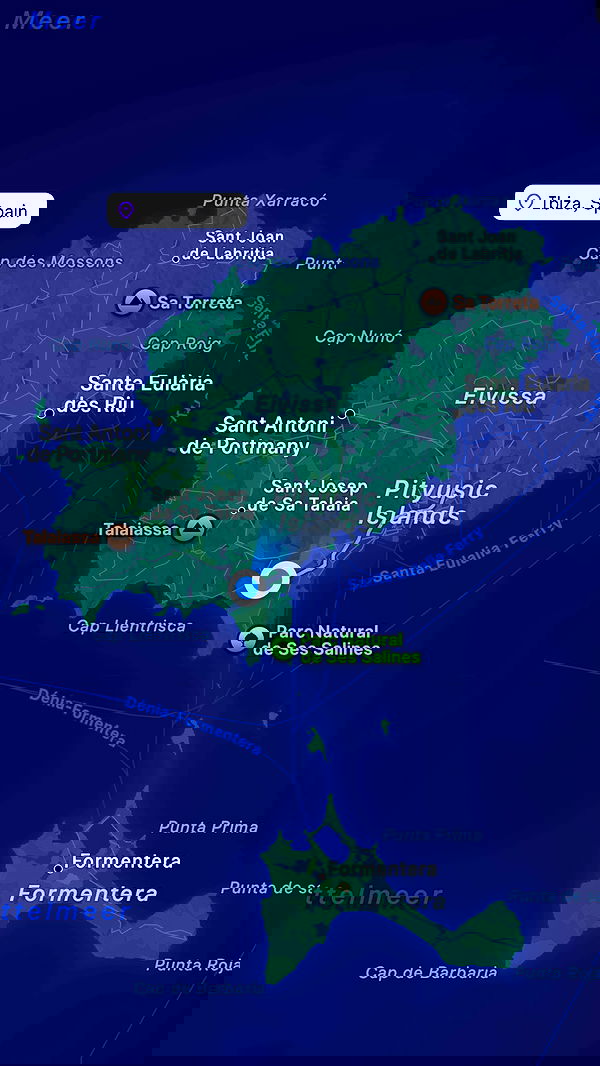 samantra_official image ~ Altpins