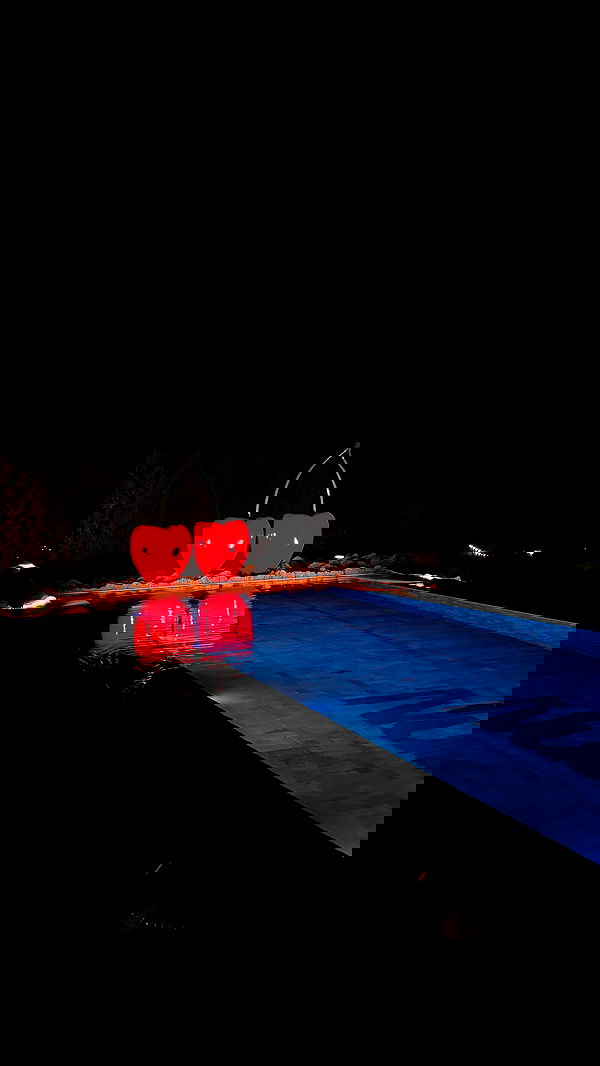 samantra_official image ~ Altpins