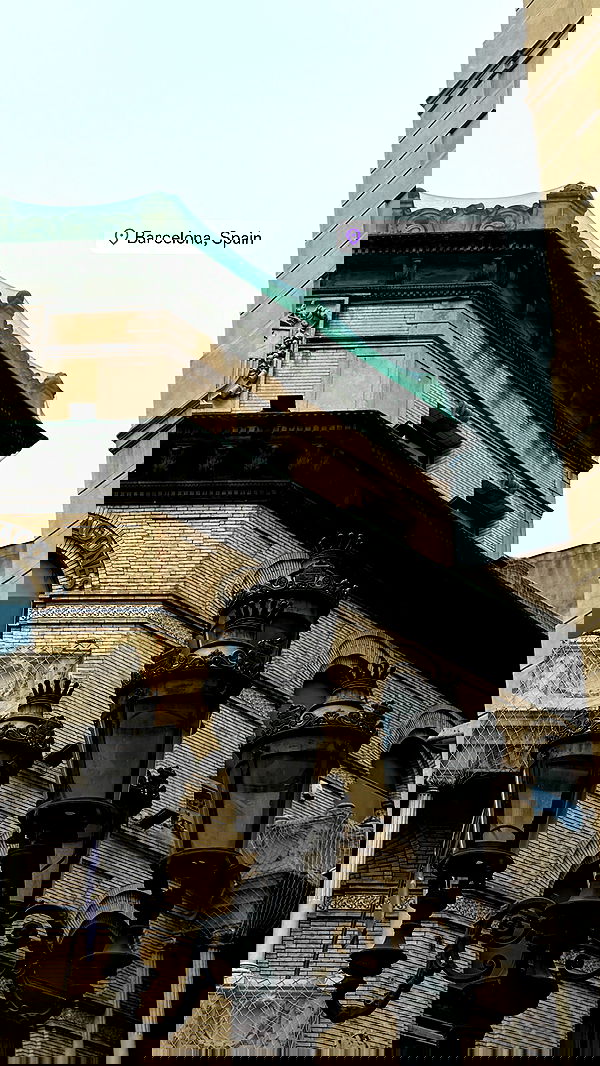 samantra_official image ~ Altpins