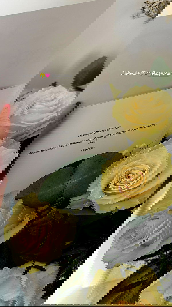 samantra_official image ~ Altpins