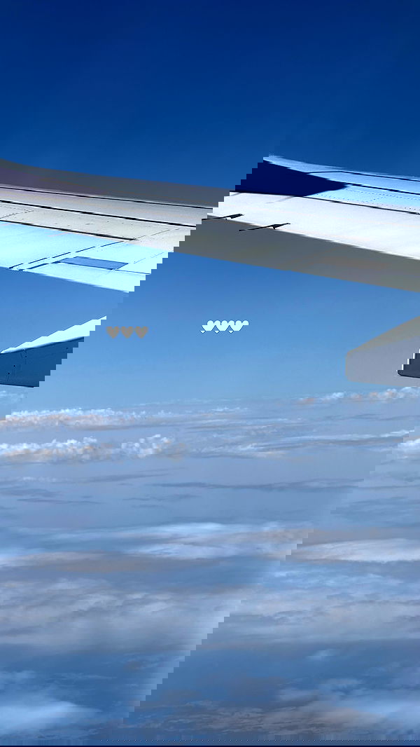 samantra_official image ~ Altpins