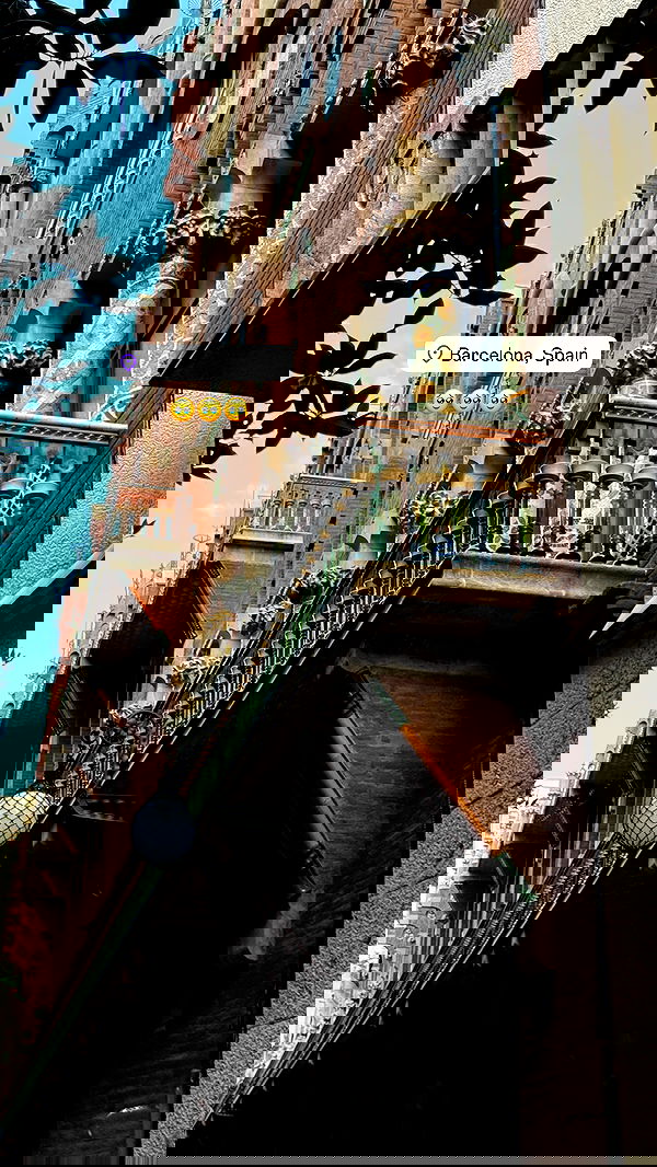 samantra_official image ~ Altpins