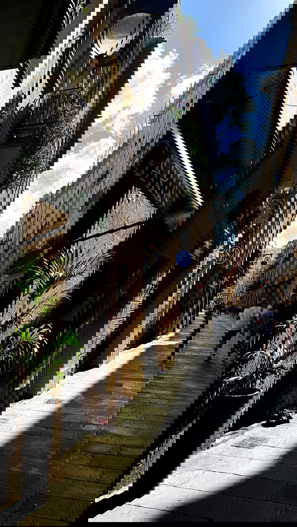 samantra_official image ~ Altpins