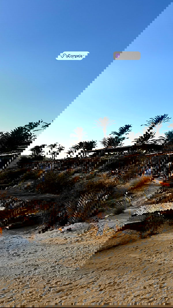 samantra_official image ~ Altpins