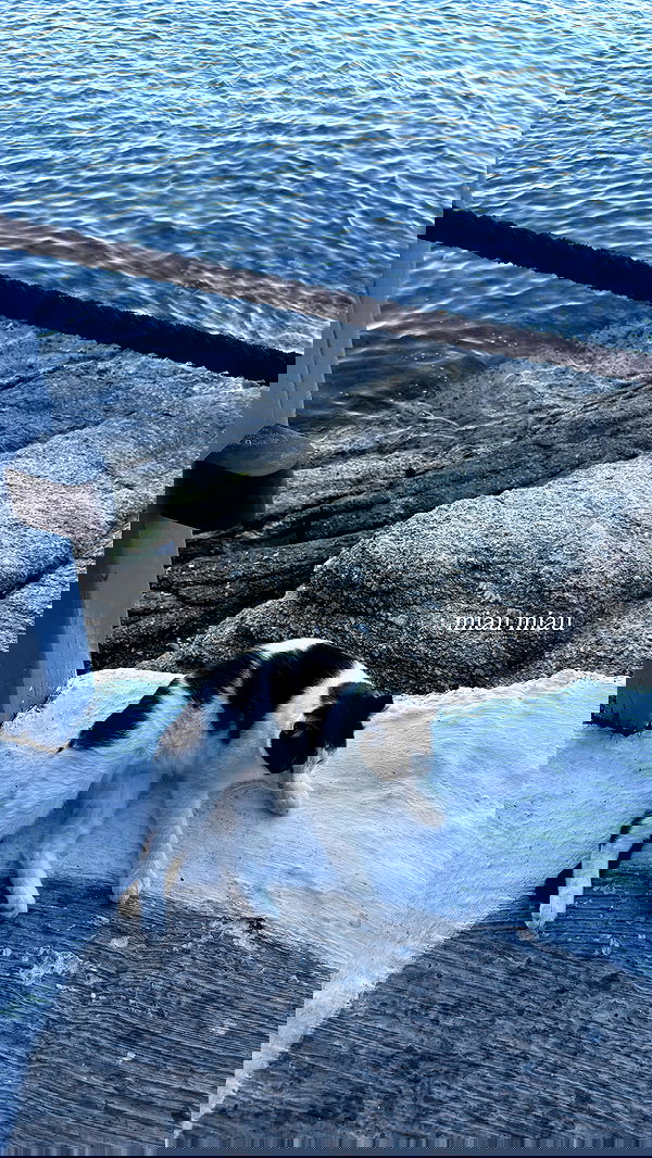 samantra_official image ~ Altpins