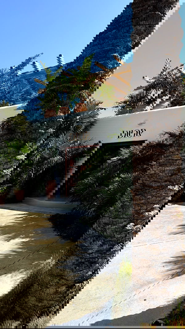 samantra_official image ~ Altpins