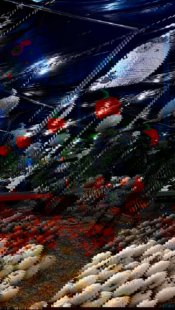 samantra_official image ~ Altpins