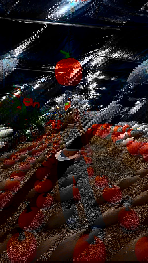 samantra_official image ~ Altpins