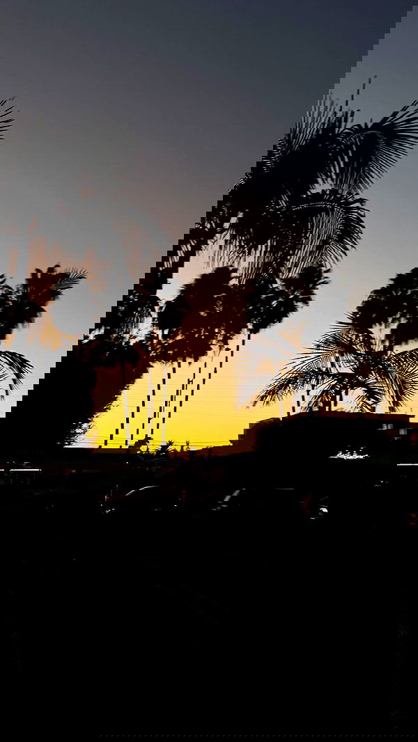 samantra_official image ~ Altpins