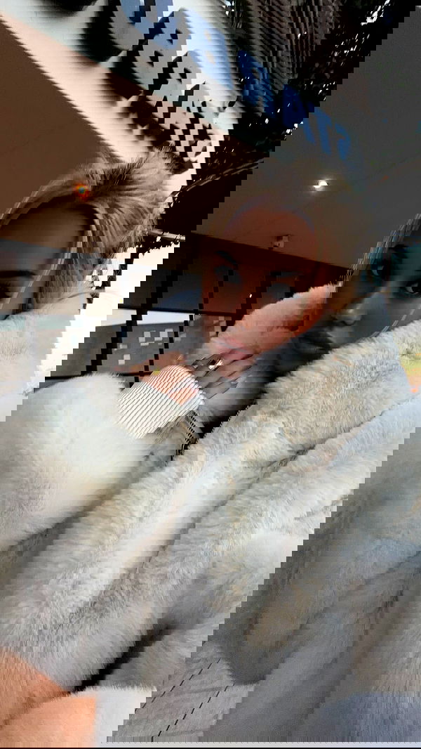 samantra_official image ~ Altpins