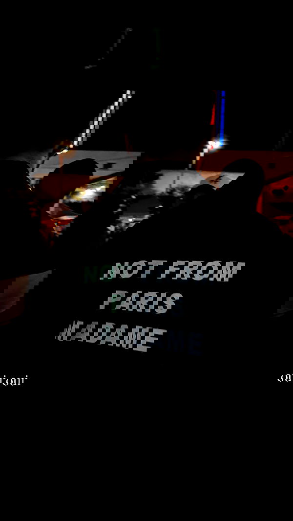 samantra_official image ~ Altpins