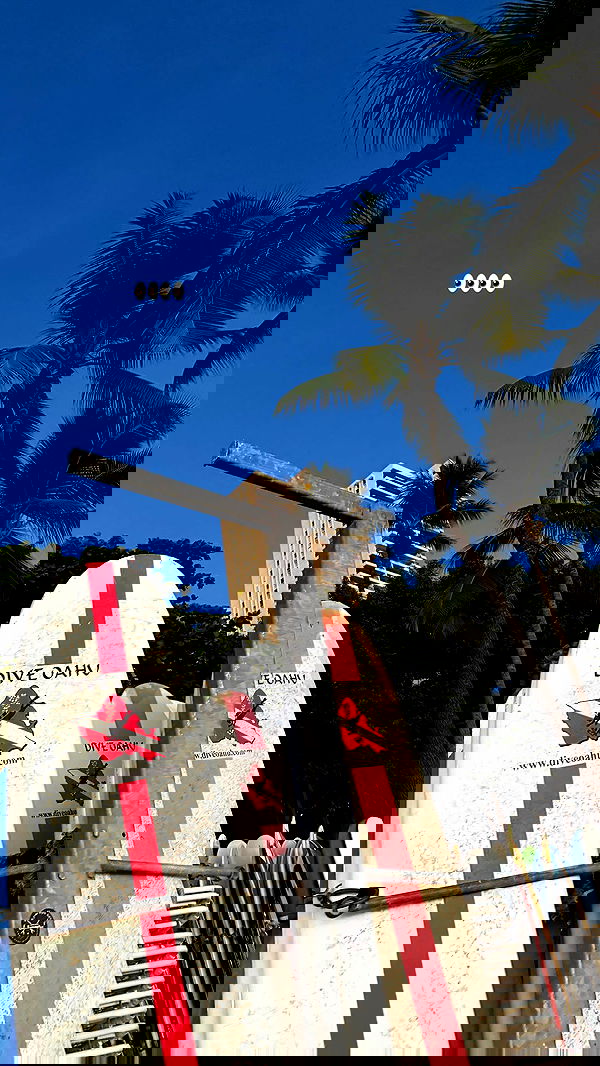 samantra_official image ~ Altpins