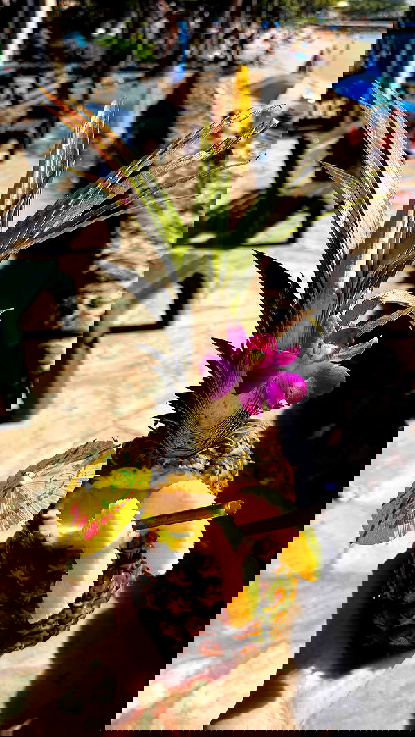 samantra_official image ~ Altpins